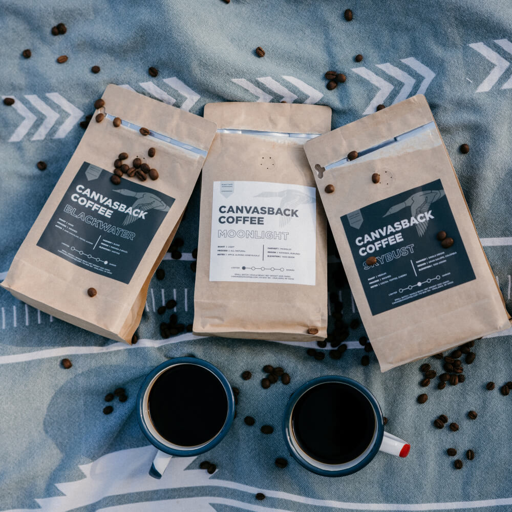 CanvasBackCoffee1-cropped
